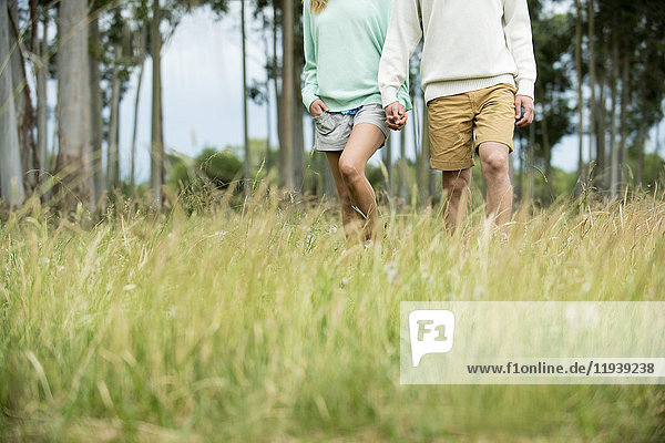 Couple walking together through tall grass  low section