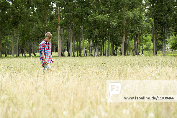 Boy walking alone through field