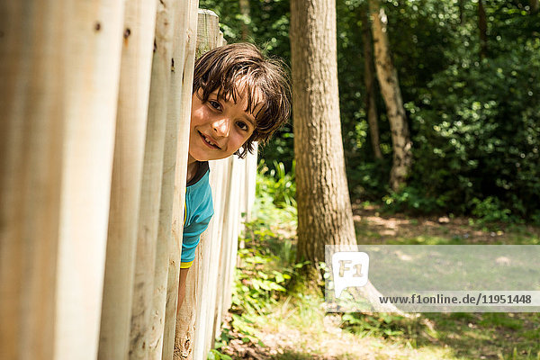 Young boy peering out from wooden fence