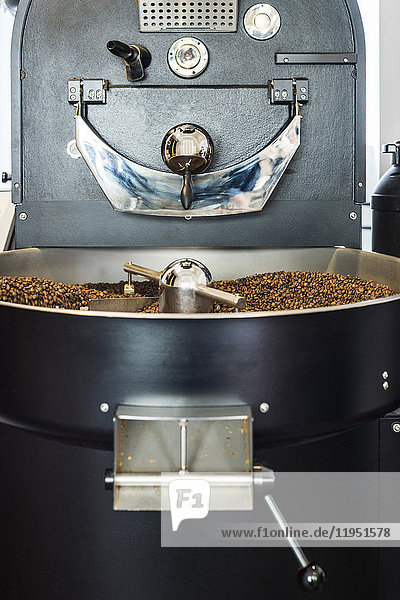 Industrial coffee grinder