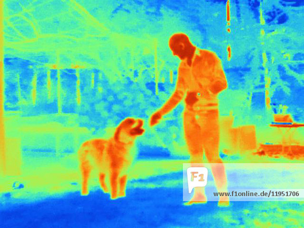 Wärmebild eines Mannes mit Hund