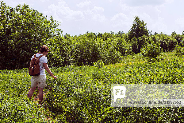 Junger männlicher Wanderer betrachtet Grünpflanzen in der Landschaft