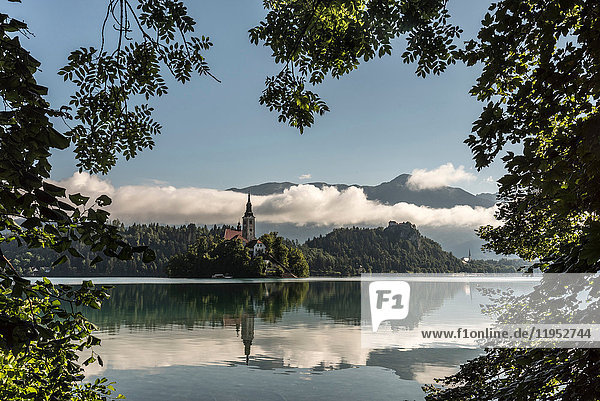 View of church on Bled Island  Lake Bled  Slovenia