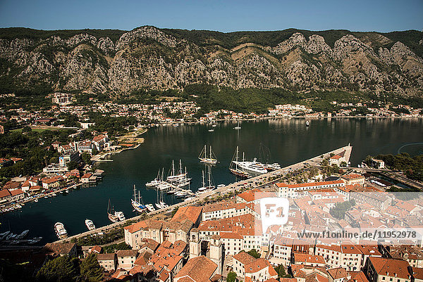 Erhöhte Ansicht von Häusern an der Küste  Kotor  Montenegro  Europa