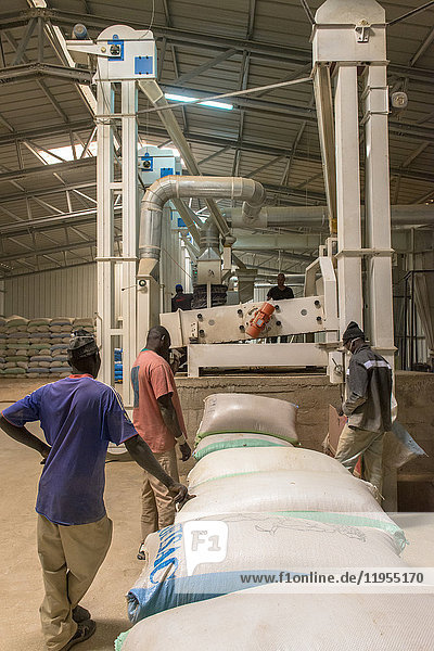 Fabrik zur Verarbeitung und Verpackung von Reis. Senegal.