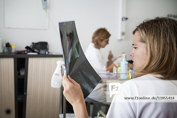 Reportage über die Fußsprechstunde für Diabetiker in einem Krankenhaus in Savoyen  Frankreich. Diese Sprechstunden werden von einem spezialisierten Team durchgeführt und sind der Behandlung und Nachsorge von Fußverletzungen bei Diabetikern gewidmet. Der Diabetologe begutachtet das Röntgenbild eines Patienten.