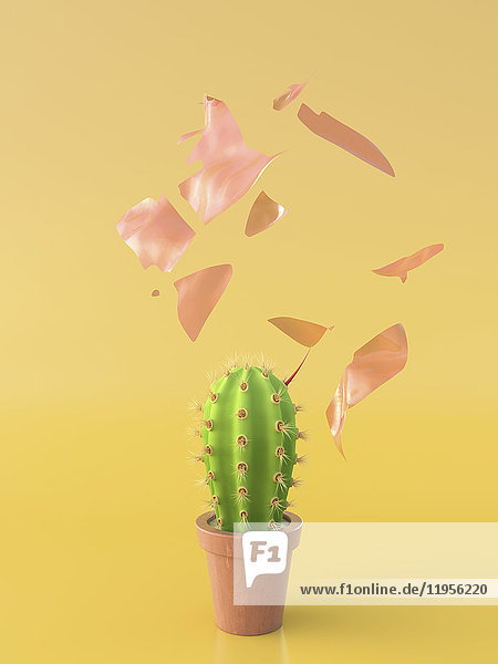 Kaktus mit einem roten Dorn  der einen Ballon sprengt.