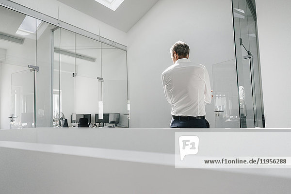 Rear view of mature businessman in bright office