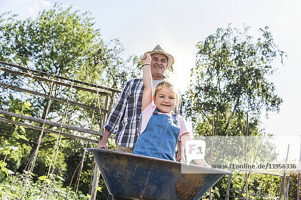 Großvater schiebt Schubkarre mit Enkelin im Garten