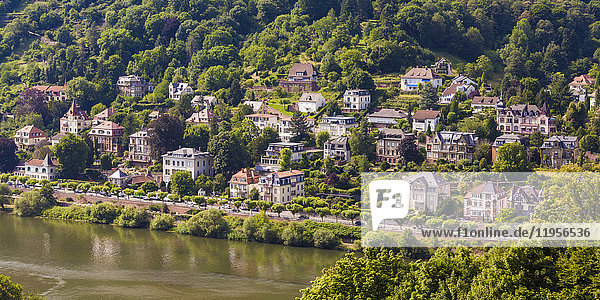 Deutschland  Heidelberg  Blick auf das Villenviertel am Neckarufer