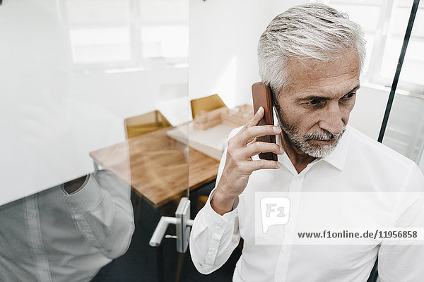 Mature businessman on the phone in office