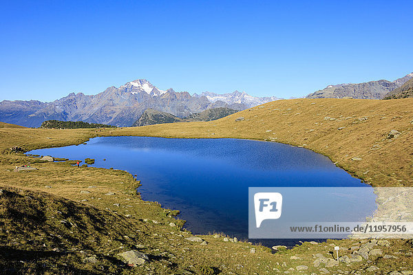 The blue Lakes of Campagneda framed by Monte Disgrazia Malenco Valley Province of Sondrio Valtellina Lombardy Italy Europe