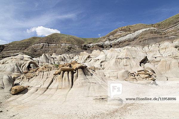 Die Hoodoos  durch die Erosion von Bentonit entstandene Felsformationen in den Badlands in der Nähe von Drumheller in Alberta  Kanada  Nordamerika