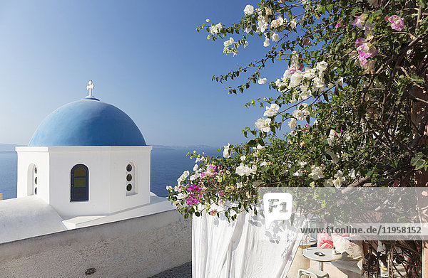 White church with blue dome and flowers Oia Santorini Cyclades Greek Islands Greece Europe