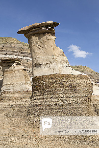 Die Hoodoos  Felsformationen  die durch die Erosion von Bentonit entstanden sind  in den Badlands in der Nähe von Drumheller in Alberta  Kanada  Nordamerika