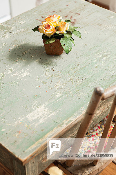 Blume im Blumentopf auf dem Tisch