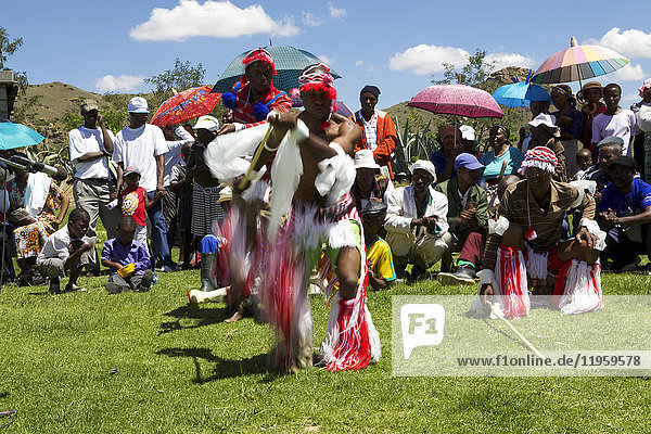 Traditionelle Tänzerinnen und Tänzer unterhalten die Menge bei einer der Send a Cow-Verabschiedungszeremonien  Lesotho  Afrika
