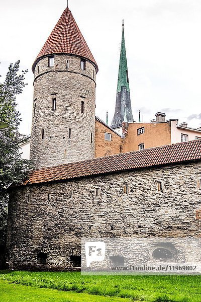 Medieval guardian tower in Tallinn  Estonia  Europe.