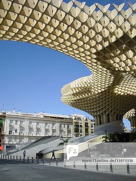 Sevilla (Spain). Pillar of the wooden structure of Las Setas de Sevilla.
