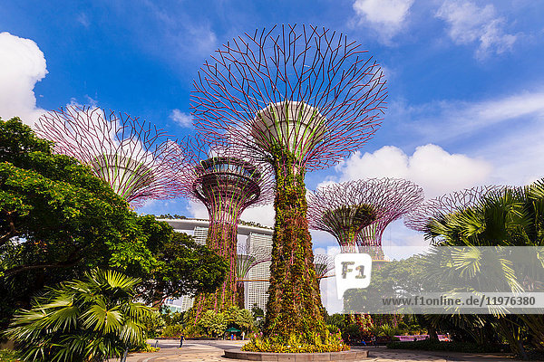 Supertree Grove und Gärten,  Singapur,  Südostasien