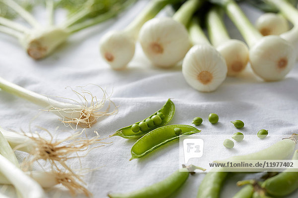 Frisches Gemüse auf weißer Tischdecke