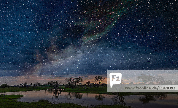 Sternenhimmel über dem Sumpf  Okavango-Delta  Botswana  Limpopo  Südafrika  Afrika