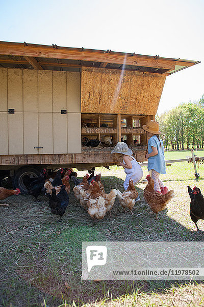 Zwei junge Mädchen auf dem Bauernhof  die Eier aus dem Hühnerstall sammeln