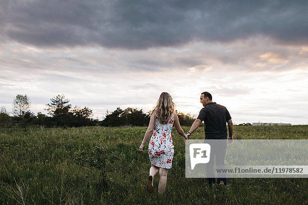 Rear view of romantic couple holding hands in field