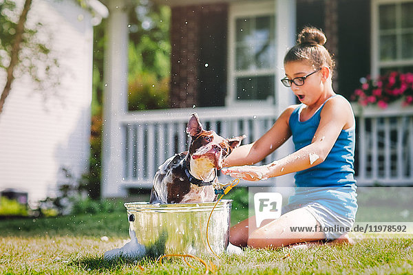 Girl washing dog in bucket