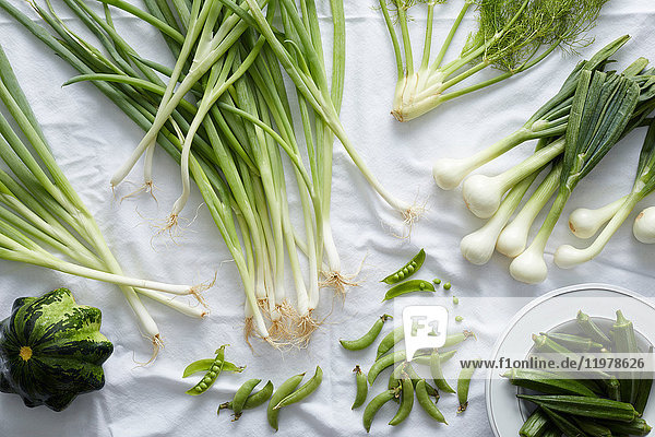 Frisches grünes Gemüse auf weißer Tischdecke