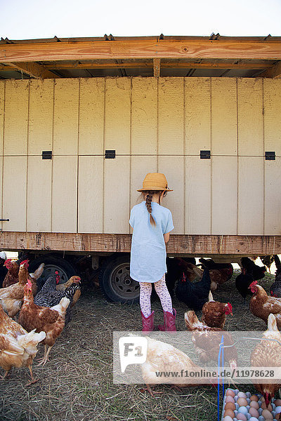 Junges Mädchen auf dem Bauernhof  das Eier aus dem Hühnerstall sammelt