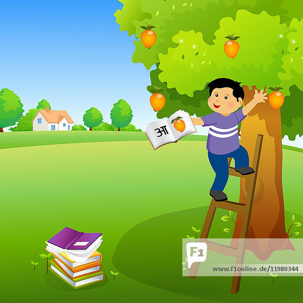 Junge hält ein Buch und klettert auf einen Mangobaum  Illustration.