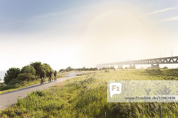 Three cyclists in rural setting