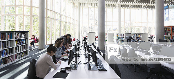Studenten recherchieren an Computern in der Bibliothek