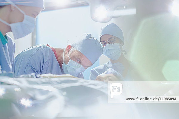 Fokussierter männlicher Chirurg bei einer Operation an einer Patientin im Operationssaal