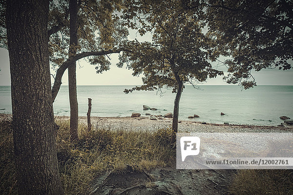 Steinstrand, Fehmarn, Schleswig-Holstein, Deutschland, Europa