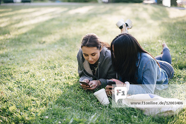 Volle Länge der weiblichen Freunde  die auf Gras liegen  während sie Smartphones benutzen.