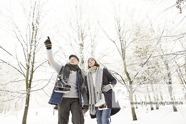 Senior couple with ice skates in winter forest