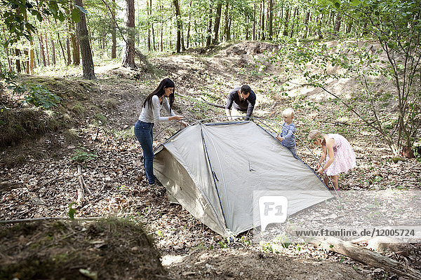 Familie im Wald baut gemeinsam ein Zelt auf