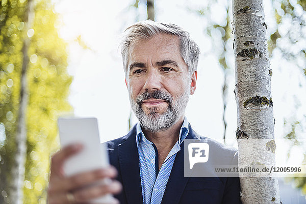 Porträt eines Geschäftsmannes am Baum  der sein Handy überprüft.