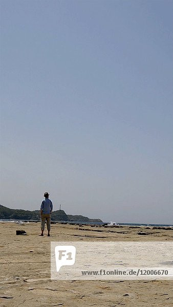 Mann steht am Strand und blickt auf den Ozean  während ein Vogel über ihn hinwegfliegt