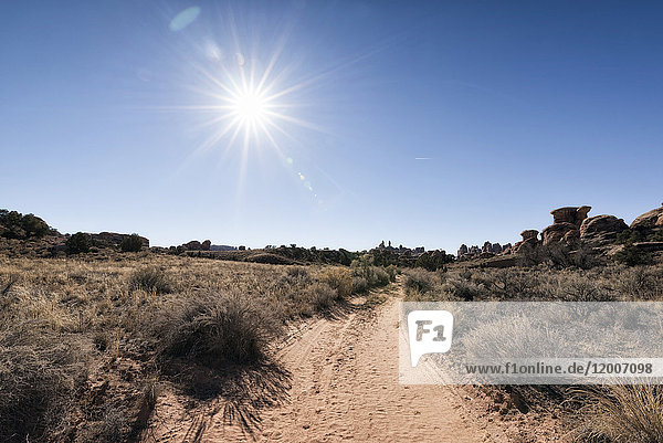 Sonne in blauem Himmel über Wüstenpfad  Moab  Utah  Vereinigte Staaten