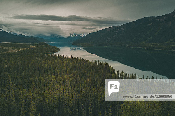 Scenic view of trees and river