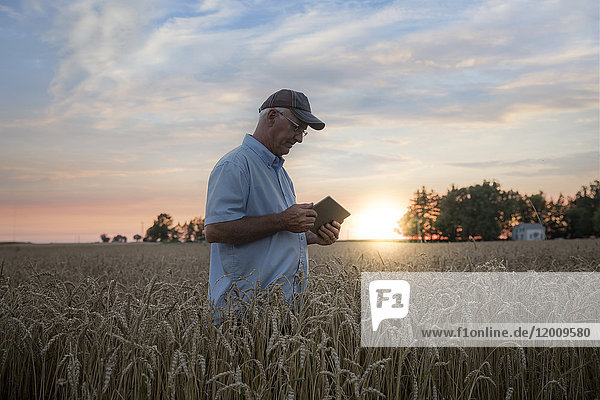 Kaukasischer Mann mit digitalem Tablet in einem Weizenfeld