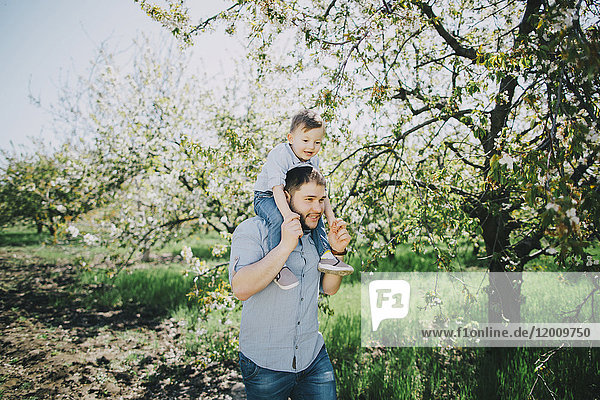 Kaukasischer Vater und Sohn gehen in der Nähe eines Baumes