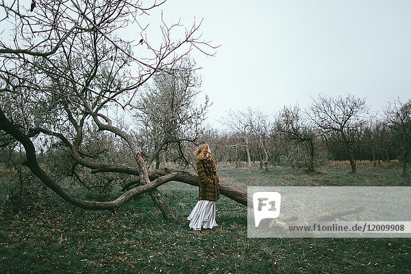 Kaukasische Frau mit Pelzmantel in der Nähe eines umgestürzten Baumes