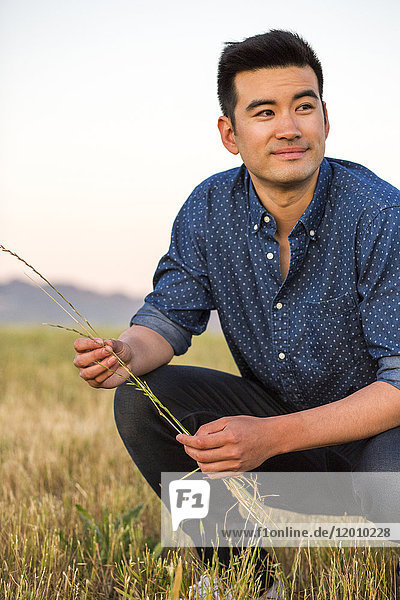 Lächelnder chinesischer Mann  der auf einem Feld hockt und Gras hält