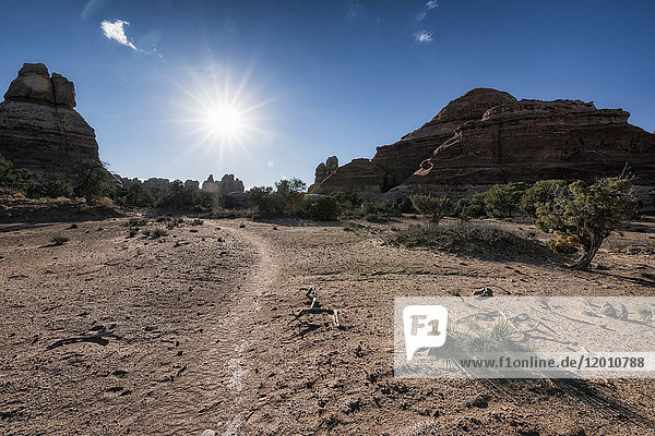 Sonne am blauen Himmel über der Wüste  Moab  Utah  Vereinigte Staaten