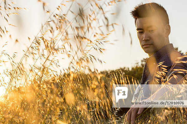Ernster chinesischer Mann sitzt in einem Weizenfeld