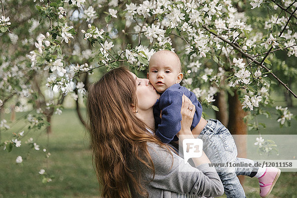 Middle eastern mother kissing son under flowering tree